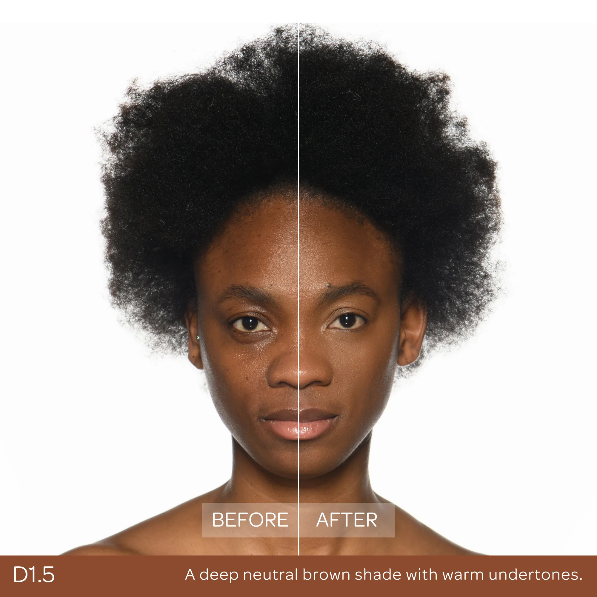 Conceal & Set Bundle - Image 54