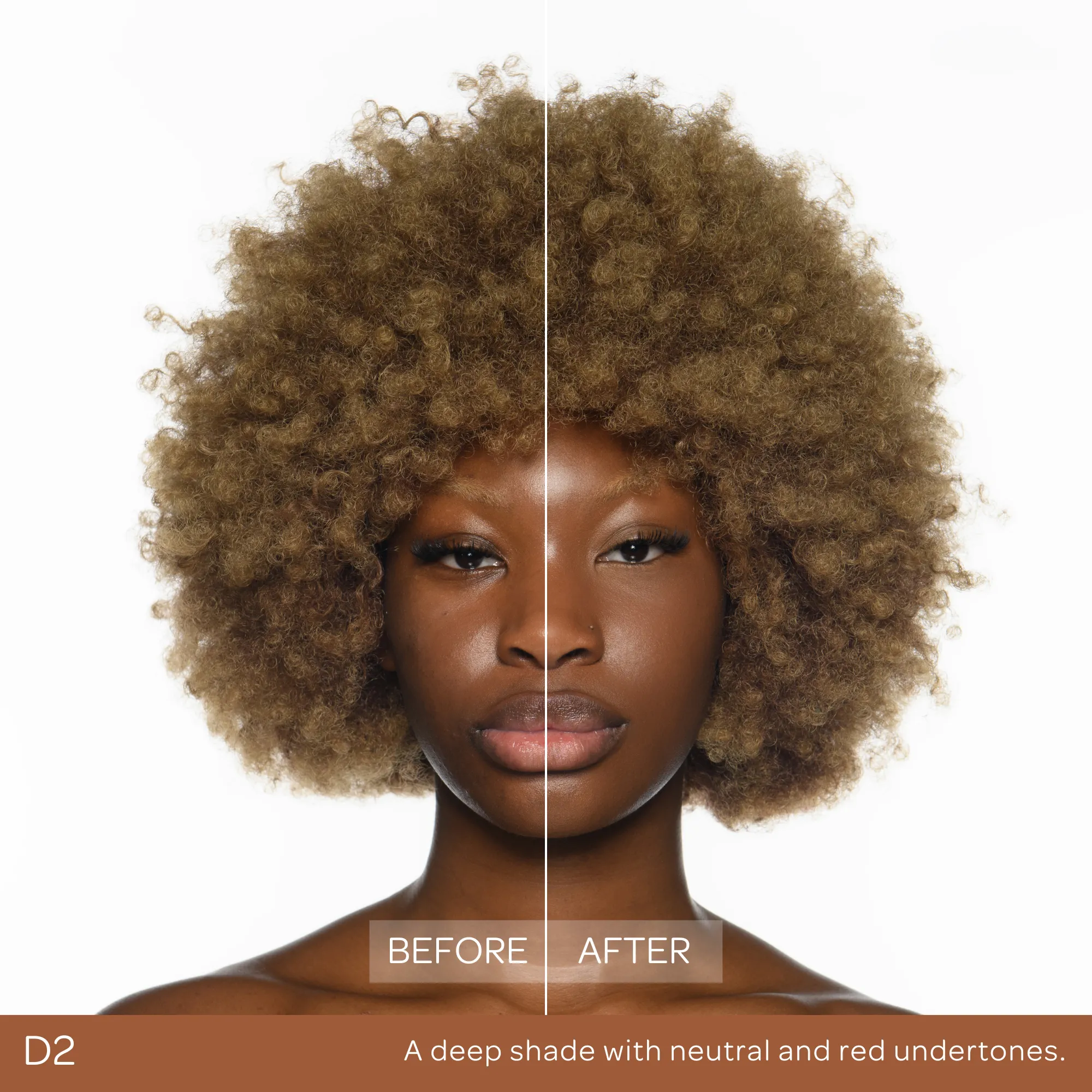 Conceal & Set Bundle - Image 57
