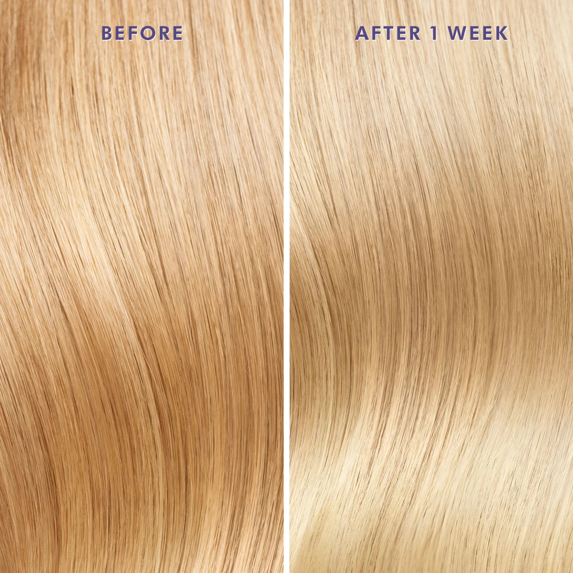 Moroccanoil - Purple Treatment - Image 5